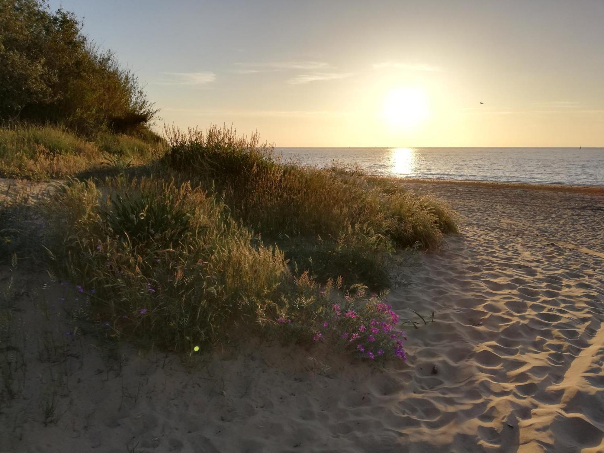 Moderno Apartamento Junto A La Playa Sanlucar de Barrameda Bagian luar foto
